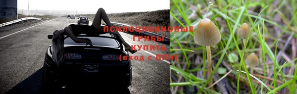 ГАЛЛЮЦИНОГЕННЫЕ ГРИБЫ Алексин