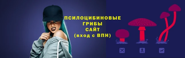 ГАЛЛЮЦИНОГЕННЫЕ ГРИБЫ Алексин