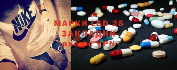 ГАЛЛЮЦИНОГЕННЫЕ ГРИБЫ Алексин
