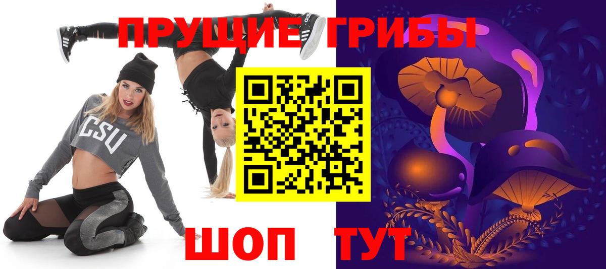 Галлюциногенные грибы Psilocybine cubensis Уфа