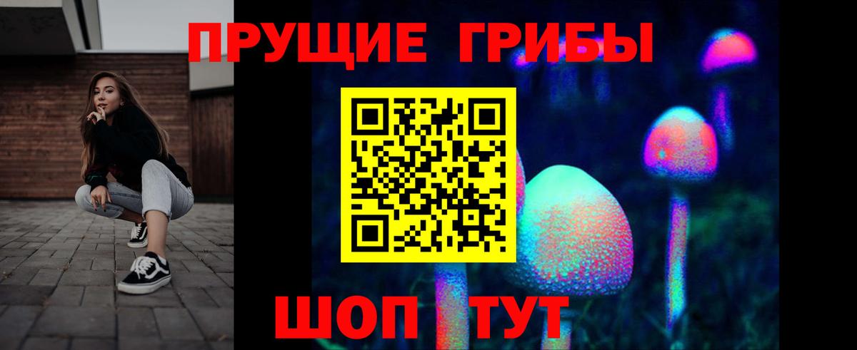 Уфа  Псилоцибиновые грибы мухоморы  хочу наркоту  Вход с VPN  Галлюциногенные грибы Cubensis 